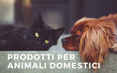 it/p/Prodotti-per-animali-domestici-c144197274
